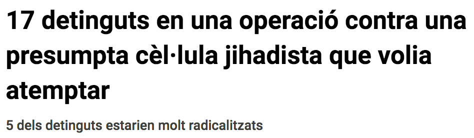 17 detinguts en una operació contra una presumpta cèl·lula jihadista que volia atemptar